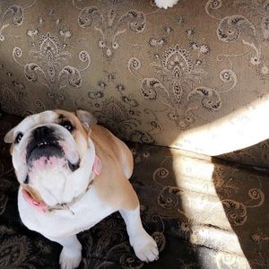 Meet your Posher, Kim